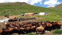 ۱۵۰ میلیارد تومان هزینه برای توسعه زیرساخت‌های عشایری آذربایجان‌غربی