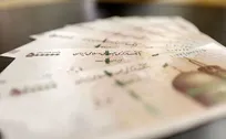  ۶۱۴ میلیارد تومان مطالبات چایکاران شمال کشور واریز شد