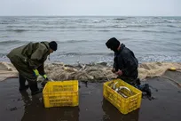 ایجاد بیش‌ از ۳۰ هزار طرح اشتغال‌زایی در مناطق محروم طی ۷ ماهه امسال