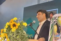تهدید اشتغال بیش از چهار هزار نفر/ طارم سفلی از کم‌آبی و آفت زیتون رنج می‌برد