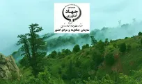 افزایش تهدید امنیت شغلی جنگلبانان در سال جاری  از سوی متخلفان