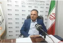 ۶۷ درصد از تسهیلات مشاغل خانگی در استان کرمانشاه پرداخت شد