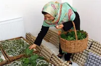 چرا مشاغل خرد فرصت‌های شغلی بیشتری ایجاد می‌کنند؟