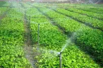 اجرای طرح توانمند سازی و کارآفرینی مردم پایه برای نخستین بار در خرمشهر