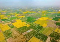 جلوگیری از تغییر کاربری ۲۷۸ هکتار اراضی کشاورزی در چهارباغ‌