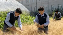 ورود دانش‌آموزان به رشته‌های مرتبط در هنرستان کشاورزی بر تأمین نیروی انسانی متخصص کشاورزی تاثیر اساسی دارد