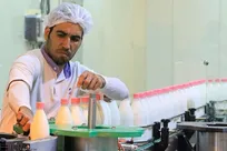 رشد ۱۶ درصدی تولید شیر خام در استان قزوین