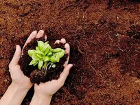 خاک، گنجی که در حال تاراج است