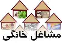 ۱۲ همت تسهیلات برای توسعه مشاغل خانگی کشور اختصاص یافت
