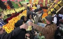 آغاز توزیع میوه بازار شب عید گیلان