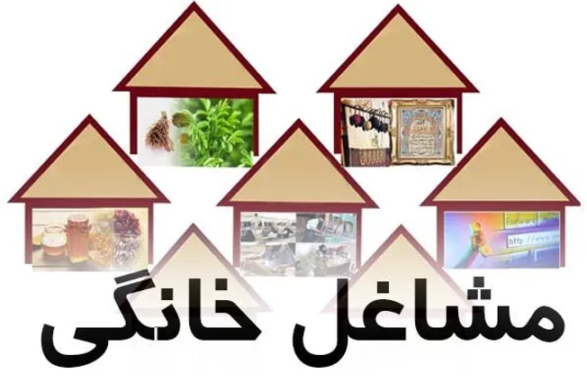۳۰ میلیارد تومان تسهیلات مشاغل خانگی در تنگستان پرداخت شد
