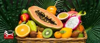تولید میوه‌های استوایی در ارومیه توسط یک کارآفرین موفق