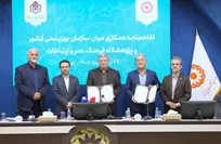 پیمایش ملی سالمندان آغاز می‌شود؛ ایران در سال ۱۴۳۰ یکی از سالخورده‌ترین کشورهای جهان می‌شود