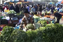 فعال شدن ۵ روستابازار در گیلان تا یک ماه آینده