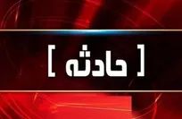 حمله سگ‌های بدون صاحب به دانشجوی دختر در دانشگاه تبریز