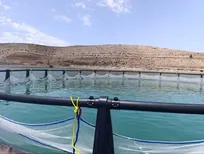 یک محقق مرکز تحقیقات و آموزش کشاورزی خراسان رضوی مطرح کرد
 خراسان رضوی مستعد در حوزه آبزی پروری
