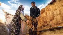 توانمندسازی نیروی کار در روستا‌ها با تکیه بر آموزش و بیمه اجتماعی