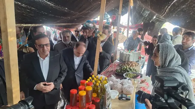 جشنواره زیتون طارم؛ فراتر از یک رویداد، فرصتی برای توسعه اقتصادی و گردشگری قزوین