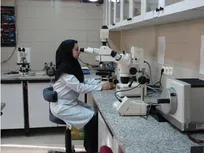 زندگی سخت کارشناسان آزمایشگاه‌ها زندگی سخت کارشناسان آزمایشگاه‌ها