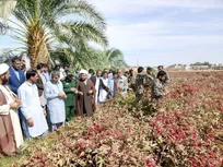 پنجمین جشن شکرانه برداشت چای ترش در روستای علوه برگزار می‌شود