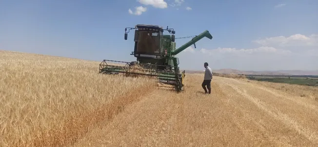 آغاز فصل برداشت جو در آذربایجان‌غربی؛ پیش‌بینی تولید ۱۰۵ هزار تن محصول