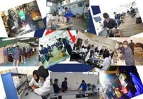 پرداخت تسهیلات اشتغال‌زایی به جوانان استان بوشهر تا ۲ میلیارد تومان