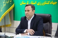 ۳۰ درصد اشتغال لرستان در بخش کشاورزی متمرکز است