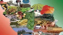 نوروز؛ آیینی که به جامعه یادآوری می‌کند زندگی متوقف نمی‌شود 