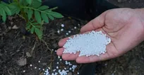 توزیع ۵۴۰۰ تن کود اوره در آذربایجان شرقی در فروردین‌ماه
