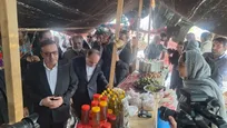 جشنواره زیتون طارم؛ فراتر از یک رویداد، فرصتی برای توسعه اقتصادی و گردشگری قزوین
