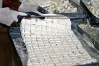 تلخ کامی صنعت شیرین گز بلداجی از سایه رکود