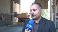 پیش‌بینی افزایش ۳۰ درصدی تولید گندم در آذربایجان‌غربی