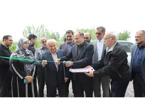 گلخانه‌ها؛ محور توسعه کشاورزی آینده